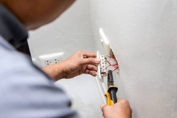 Best Affordable Electrician  in Port Byron, IL