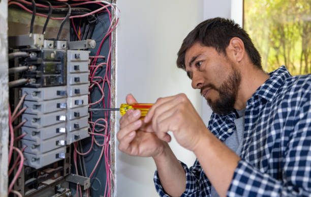 Best Generator Installation Services  in Port Byron, IL